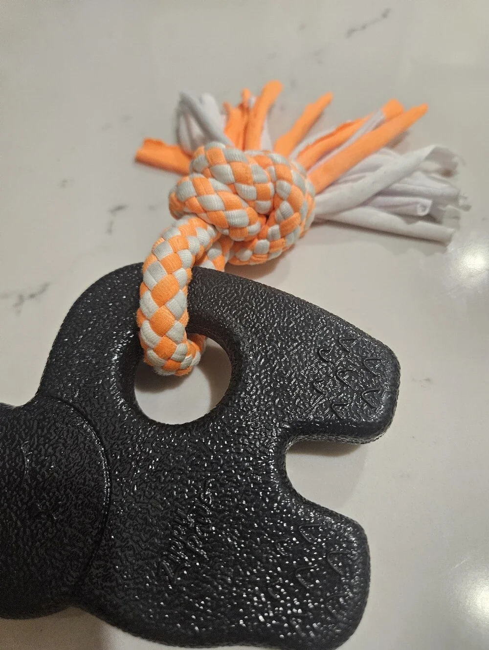 ZippyPaws Halloween ZippyTuff Teetherz Black Cat Dog Teething Toy